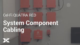QRED_Module5.jpg